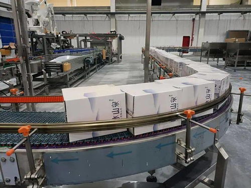 礦泉水全自動化生產(chǎn)技術革新 龍泉生產(chǎn)線引領行業(yè)未來